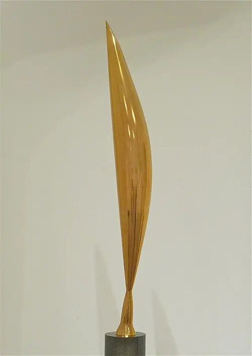 Bird in Space by Constantin Brâncuși